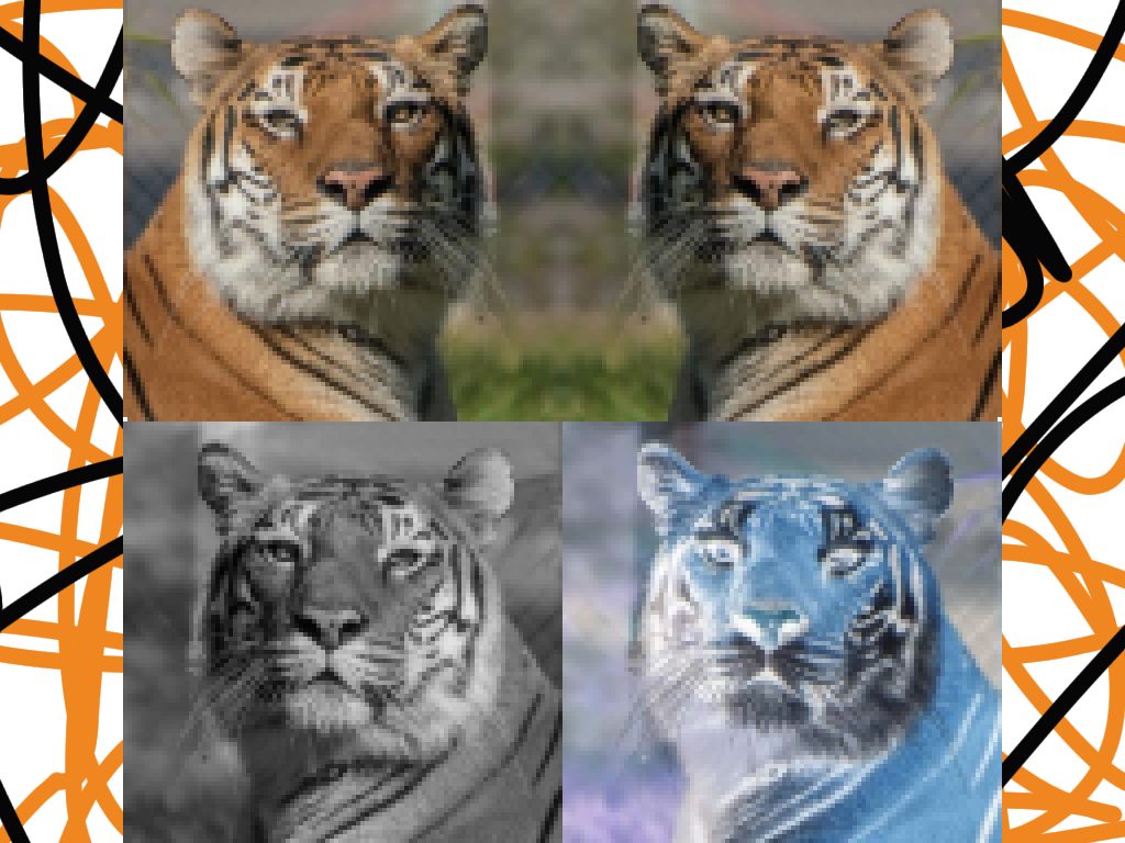 An original tiger, a mirrored tiger, an inverted tiger, and a black and white tiger.